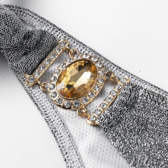 Shimmering Gray Silver Crystal Jeweled Bikini Set - Picture 8 of 13